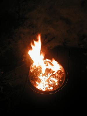 <img300*0:stuff/z/49339/Imbolc%2520Fire%25202upload/i1233641719_5.jpg>