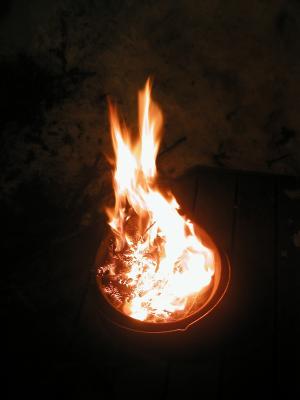 <img300*0:stuff/z/49339/Imbolc%2520Fire%25202upload/i1233641719_6.jpg>