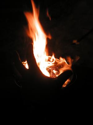 <img300*0:stuff/z/49339/Imbolc%2520Fire%25202upload/i1233641719_9.jpg>