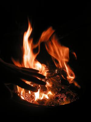 <img300*0:stuff/z/49339/Imbolc%2520Fire%25202upload/i1233641721_23.jpg>