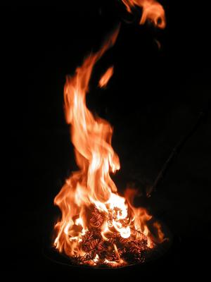 <img300*0:stuff/z/49339/Imbolc%2520Fire%25202upload/i1233641721_24.jpg>