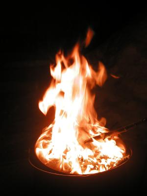 <img300*0:stuff/z/49339/Imbolc%2520Fire%25202upload/i1233641721_25.jpg>