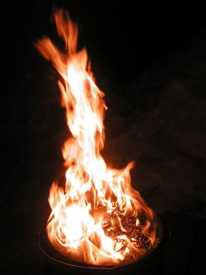 <img300*0:stuff/z/49339/Imbolc%2520Fire%25202upload/i1233641721_26.jpg>