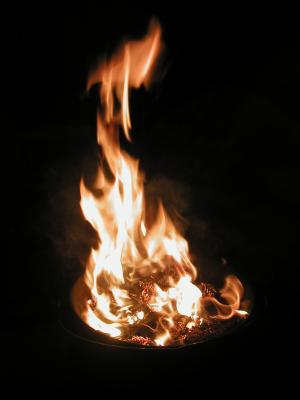 <img300*0:stuff/z/49339/Imbolc%2520Fire%25202upload/i1233641721_29.jpg>