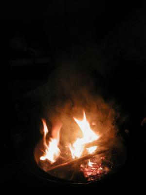 <img300*0:stuff/z/49339/Imbolc%2520Fire%25202upload/i1233641721_30.jpg>