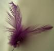 <img0*100:stuff/z/61513/Feather%2520Stock%2520by%2520Squee/FeathersSquee.JPG>
