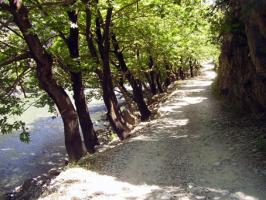 <img0*200:stuff/z/61513/Konitsa%25202009/Konitsa2009%20%2865%29.JPG>