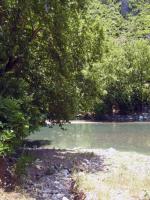 <img0*200:stuff/z/61513/Konitsa%25202009/Konitsa2009%20%2876%29.JPG>