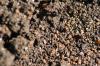 <img100*0:stuff/z/73640/ants.1/i1275797944_35.jpg>