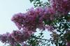 <img100*0:stuff/z/73640/spring%2520upload%25202/i1264651105_16.jpg>